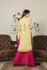 Pakistani Bridal Dress