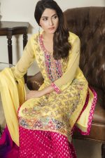 Pakistani Bridal Dress