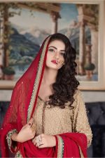 Pakistani Shadi Dresses