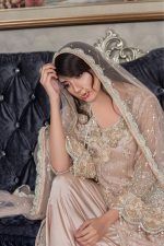 Pakistani Valima Dresses