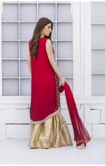 Buy Exclusive Red And Golden Bridal Wear – G15042 Online In USA, Uk & Pakistan - 01