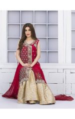 Buy Exclusive Red And Golden Bridal Wear – G15042 Online In USA, Uk & Pakistan - 02