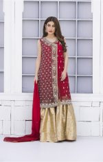 Buy Exclusive Red And Golden Bridal Wear – G15042 Online In USA, Uk & Pakistan