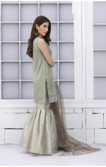 Buy Exclusive Pista Green And Dull Gold Bridal Wear – Sdbd02 Online In USA, Uk & Pakistan - 02