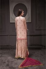Buy Exclusive Peach And Hot Pink Bridal Wear – Sdbd25 Online In USA, Uk & Pakistan - 03