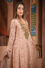 Buy Exclusive Silver Pink Luxury Pret – Aqs148 Online In USA, Uk & Pakistan - 02