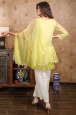 Buy Exclusive Lime Yellow Party Wear – Afc11 Online In USA, Uk & Pakistan - 01