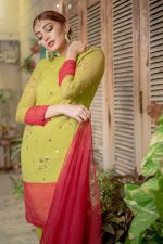 DHANI GREEN & RED PARTY WEAR