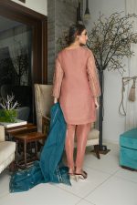 Buy Exclusive Tea Pink Party Wear – Sds381 Online In USA, Uk & Pakistan - 01