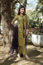 EXCLUSIVE DHANI LUXURY PRET