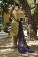 EXCLUSIVE DHANI LUXURY PRET