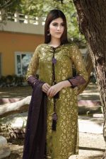 EXCLUSIVE DHANI LUXURY PRET