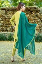 APPLE GREEN AND SEA GREEN PARTY WEAR