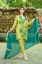 APPLE GREEN AND SEA GREEN PARTY WEAR