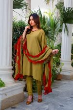 Buy Exclusive Mehndi Green Party Wear – Aqs316 Online In USA, Uk & Pakistan - 04