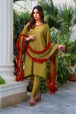 Buy Exclusive Mehndi Green Party Wear – Aqs316 Online In USA, Uk & Pakistan - 05