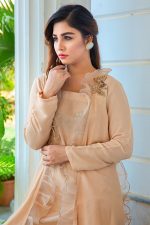 Buy Exclusive Skin Colour Luxury Pret – Sds433 Online In USA, Uk & Pakistan - 02