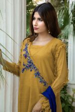 MUSTARD AND BLUE PARTY WEAR