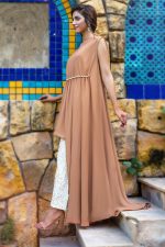 Buy Exclusive Beige And Off White Party Wear – Afc32 Online In USA, Uk & Pakistan