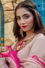 Buy Exclusive Tea Pink And Shocking Pink Luxury Pret – Sds507 Online in UK, USA & Pakistan - 02
