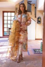 EXCLUSIVE MULTI COLOR CASUAL WEAR – ZZC212