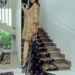 Exclusive Boutique New dupatta collection. Dyed Zari Jacquard organza Dupatta.
