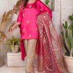 Exclusive Boutique New dupatta collection. Dyed Zari Jacquard organza Dupatta.